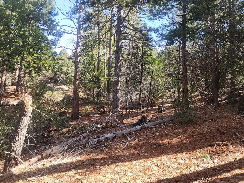 main property photo 26