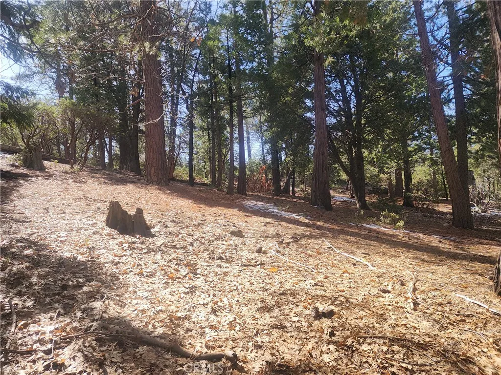 main property photo 29