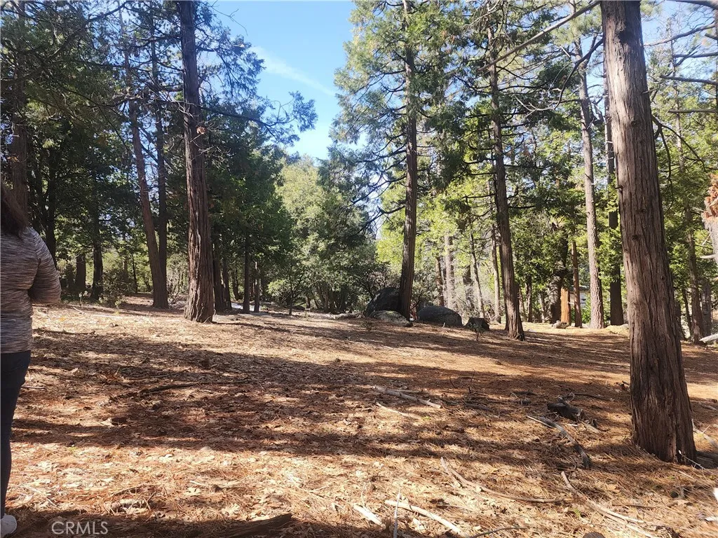 main property photo 39