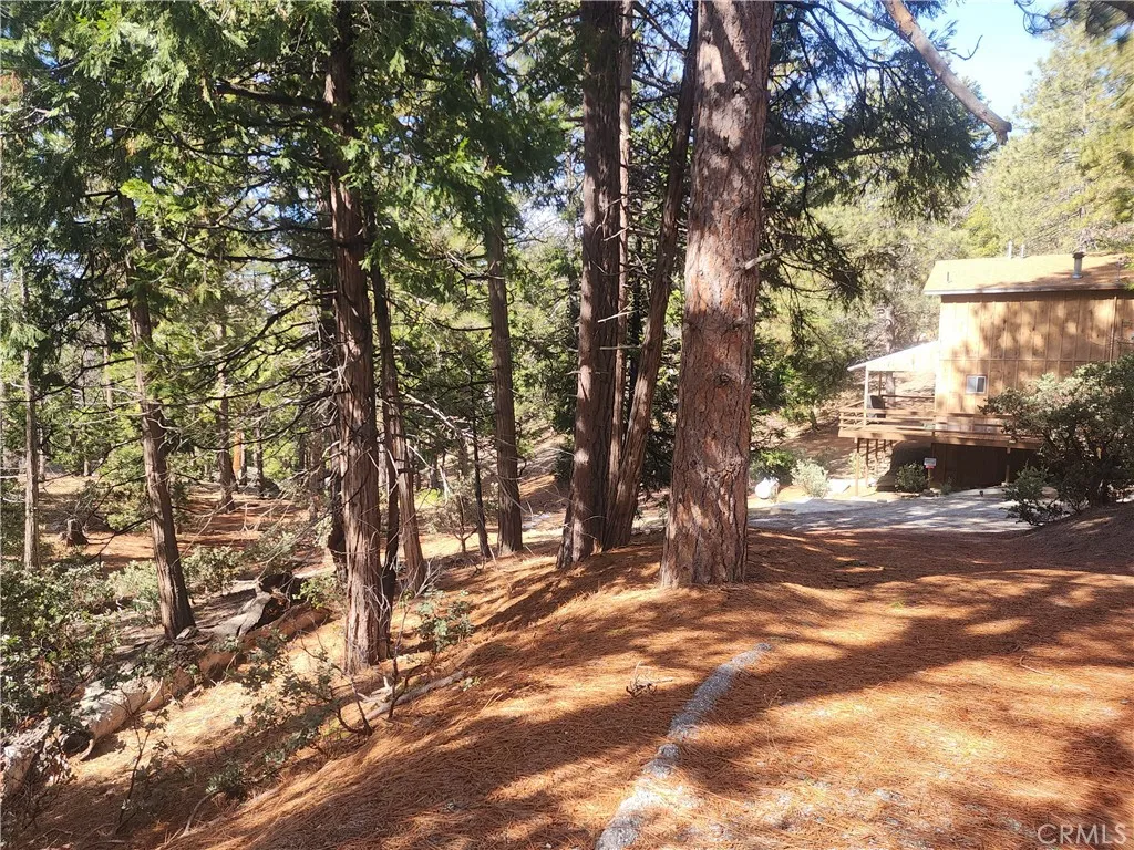 main property photo 48