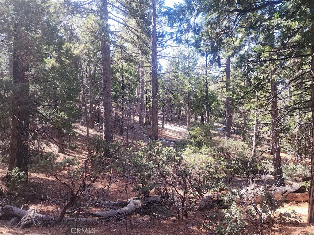 main property photo 7