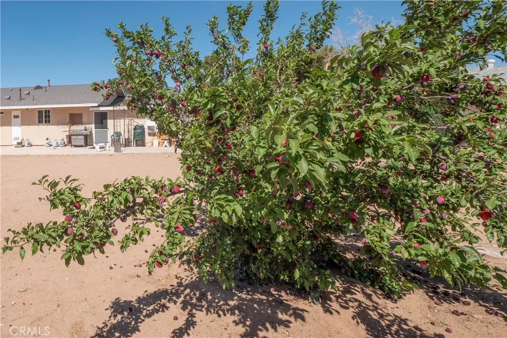main property photo 24