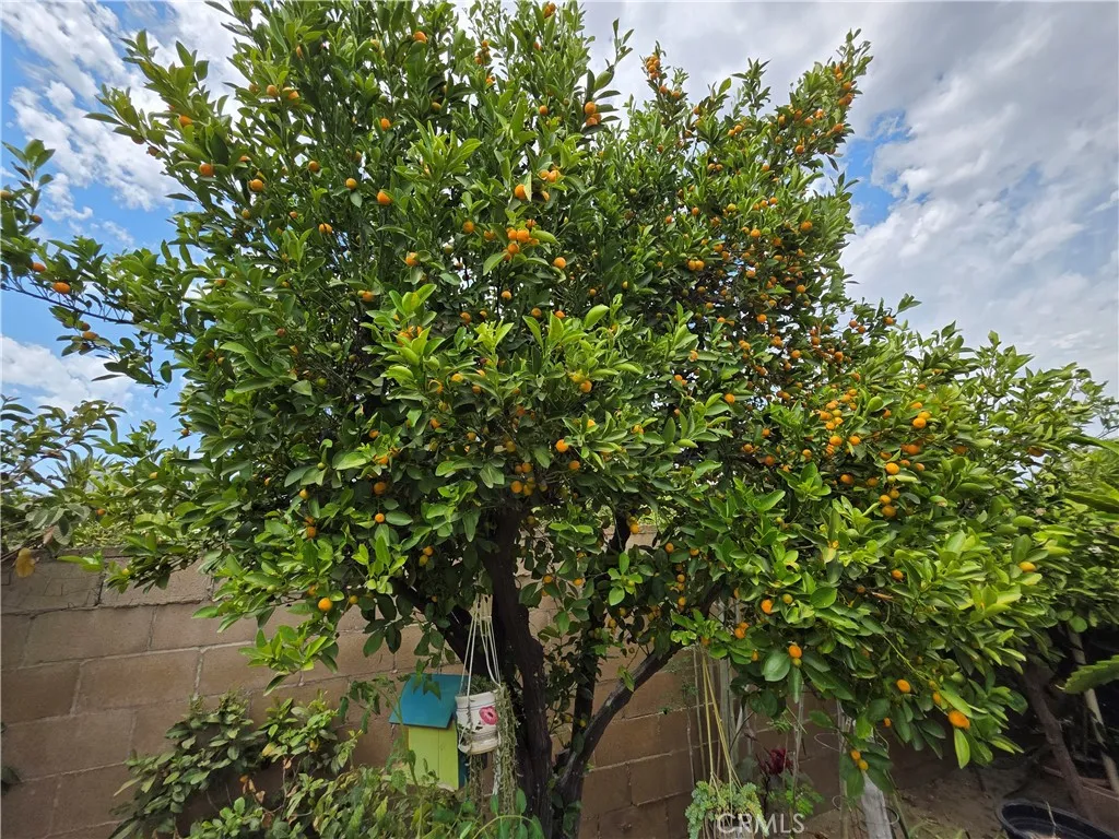 main property photo 62