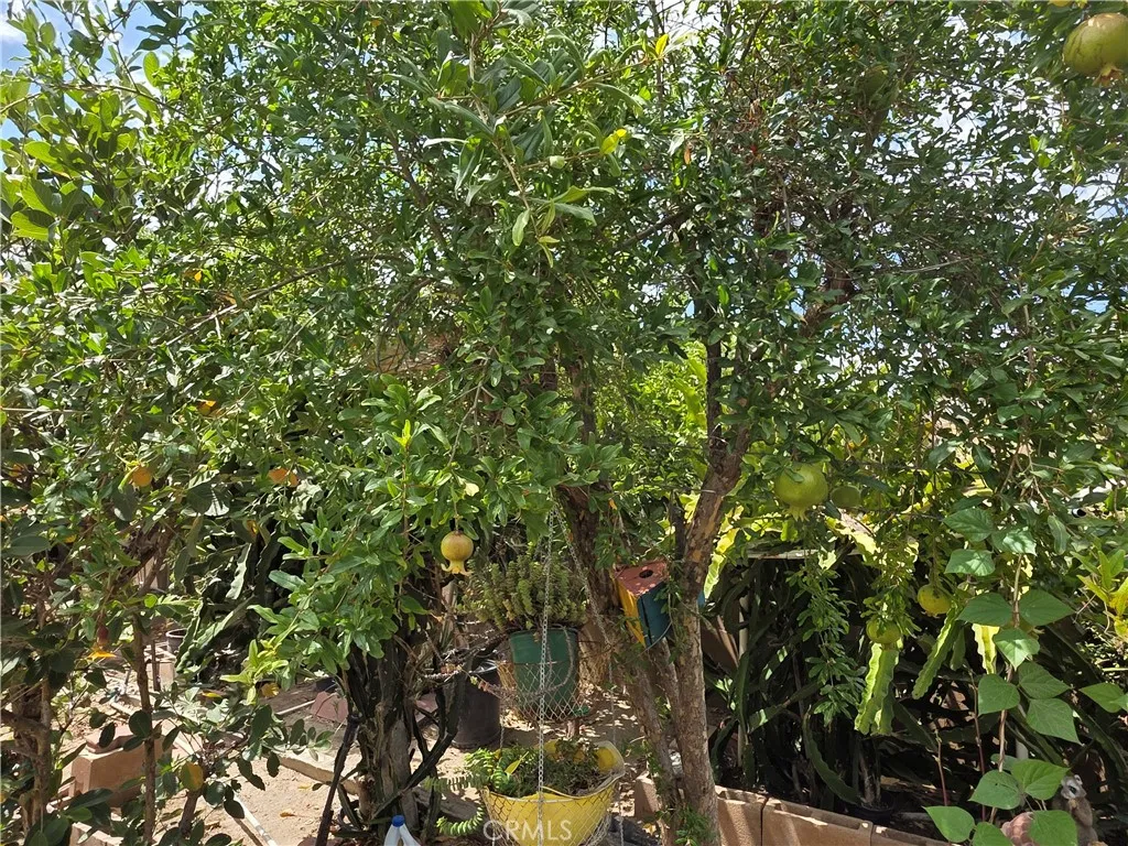 main property photo 66