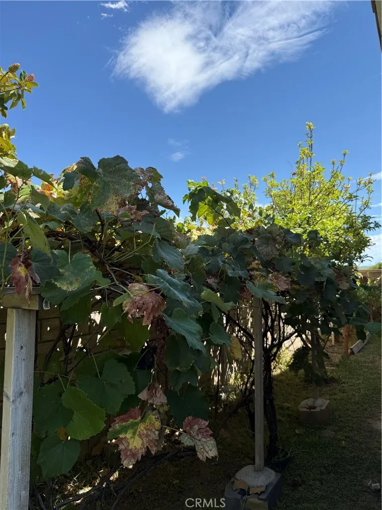 main property photo 68