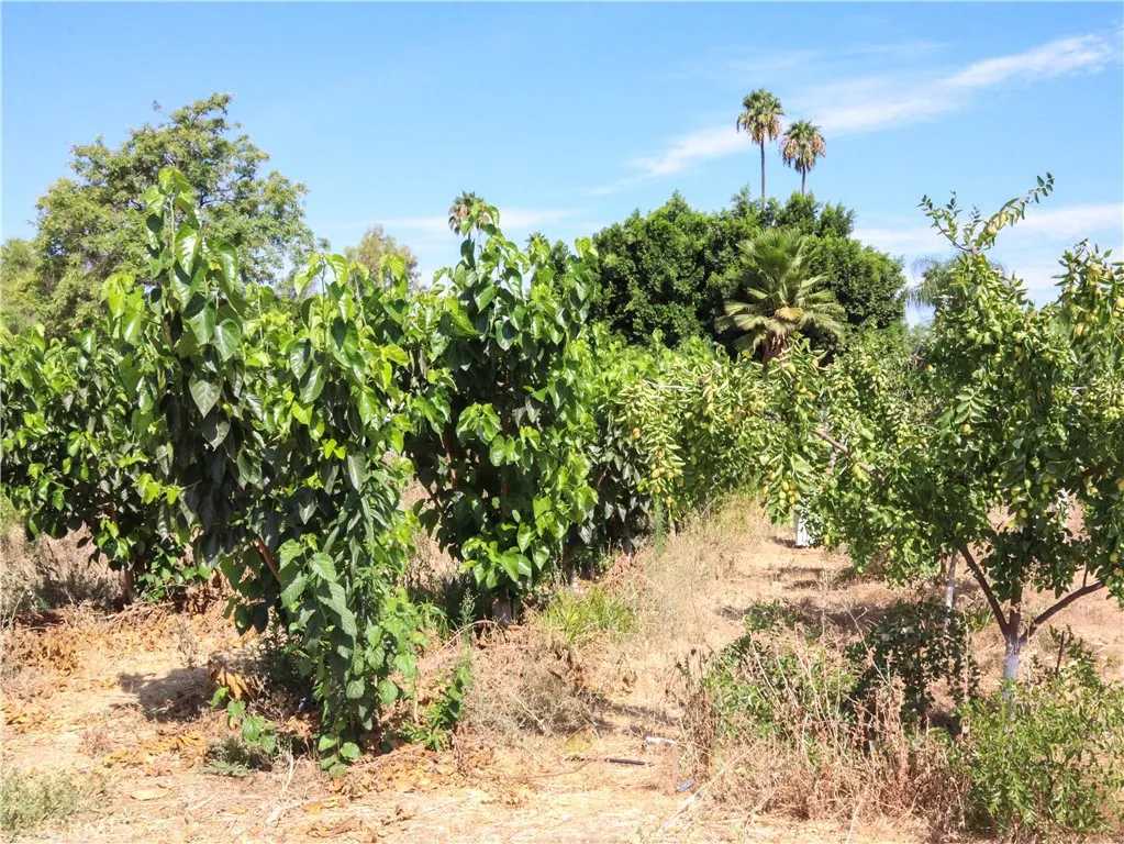 main property photo 54