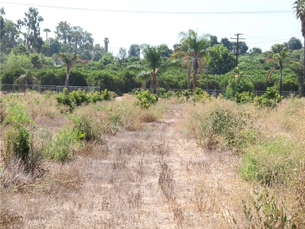 main property photo 55