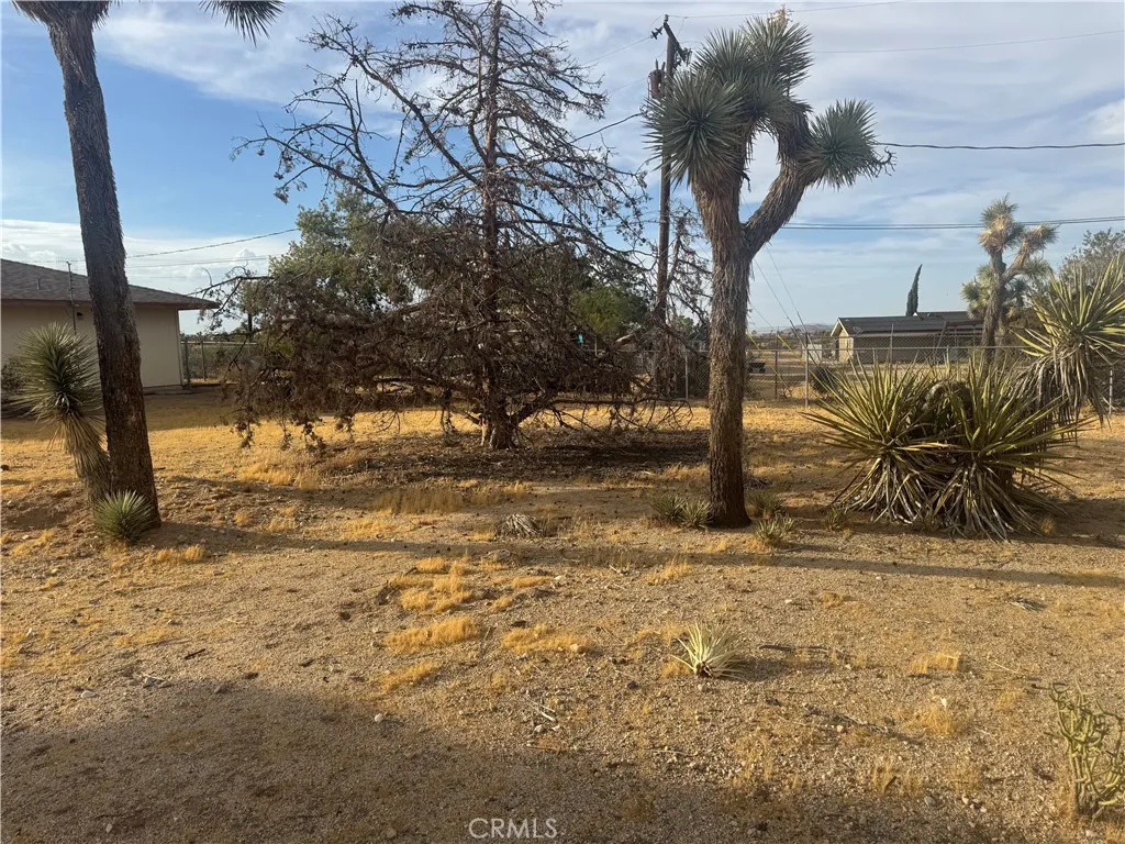 main property photo 6