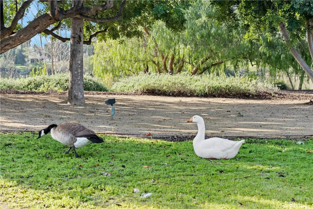 main property photo 59