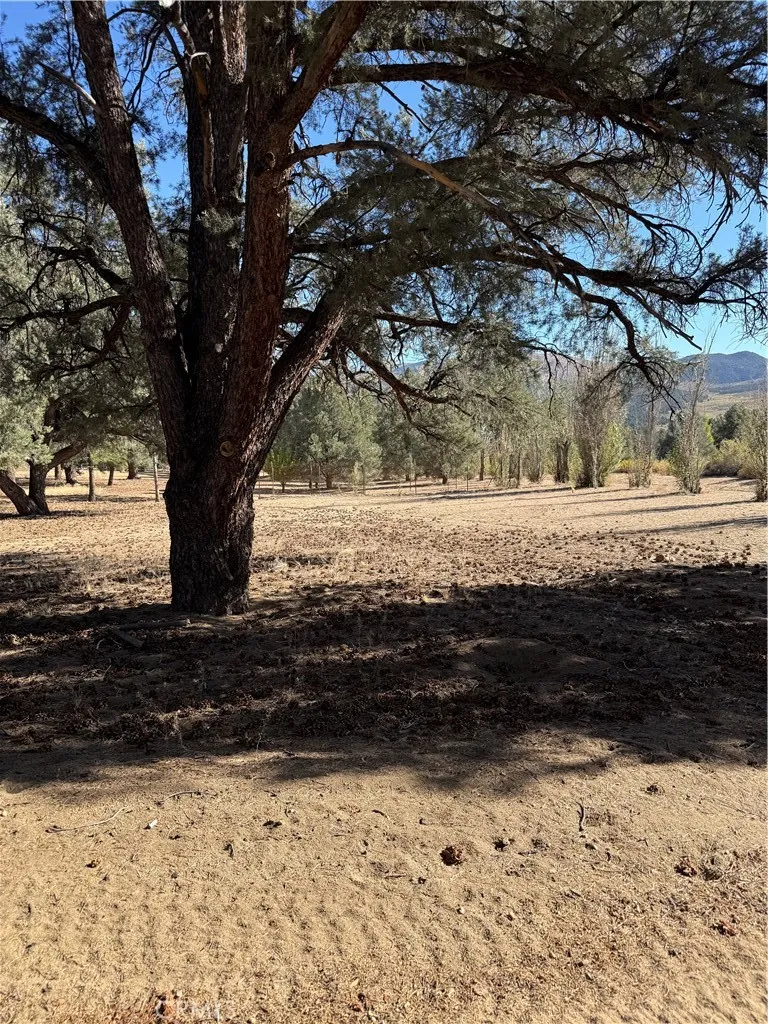 main property photo 53