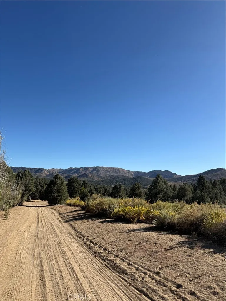 main property photo 58