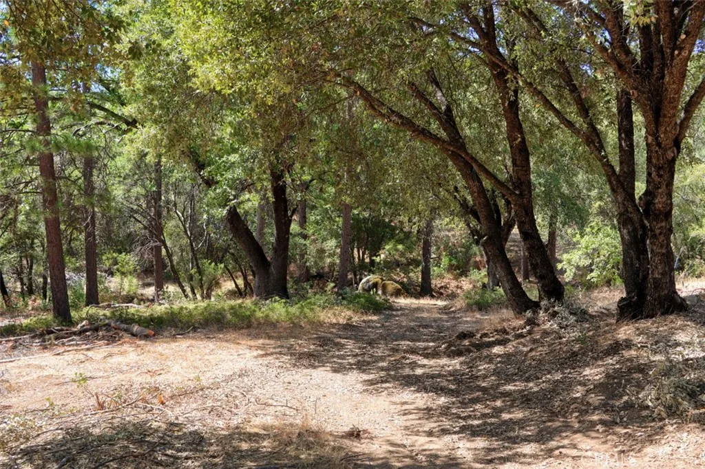 main property photo 11
