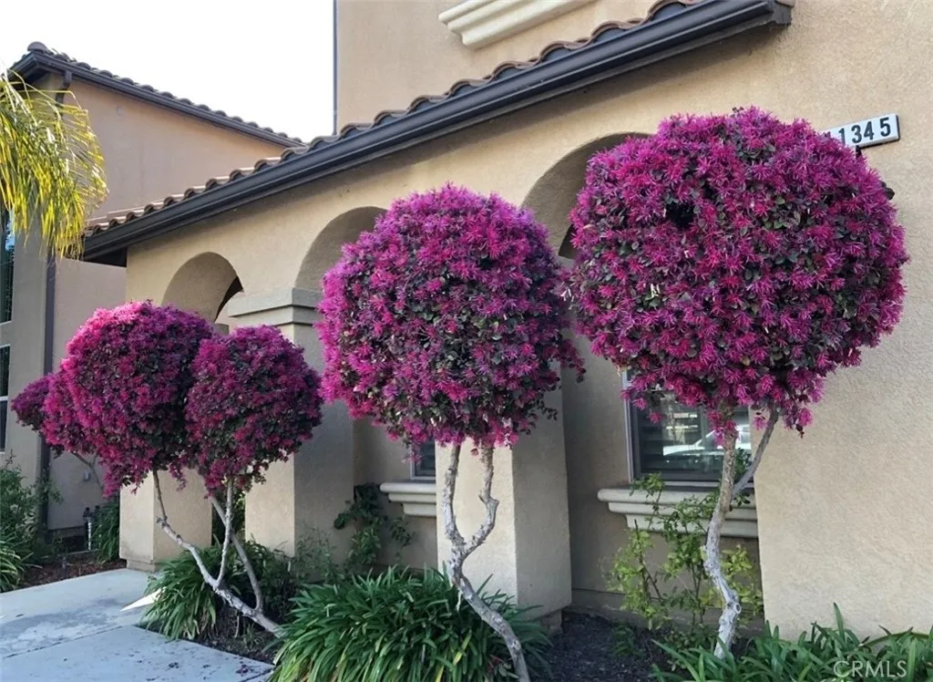 main property photo 72