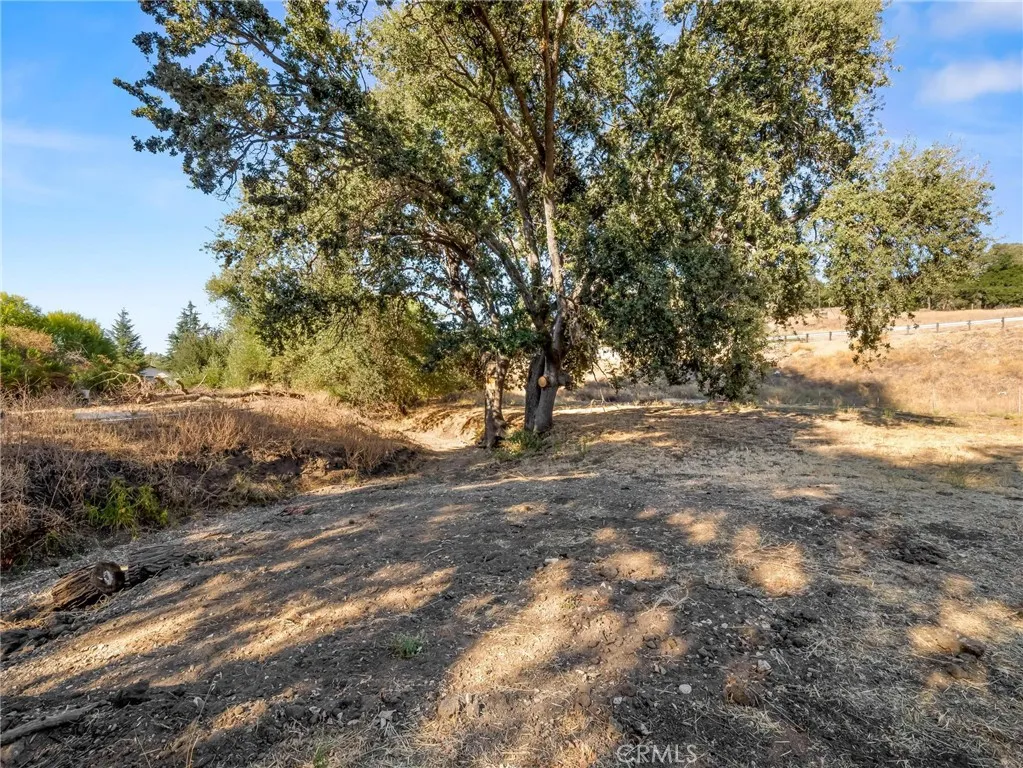 main property photo 19