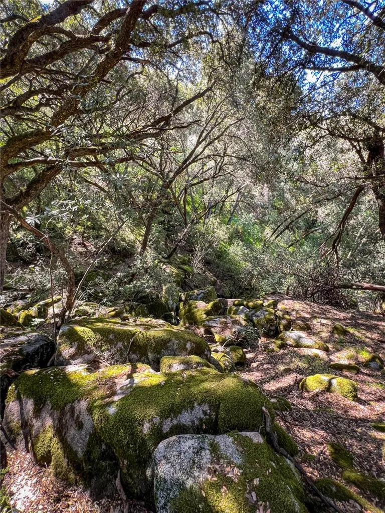 main property photo 65