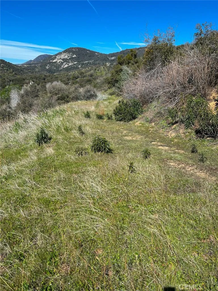 main property photo 71
