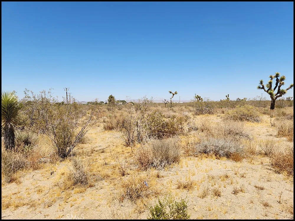 main property photo 11