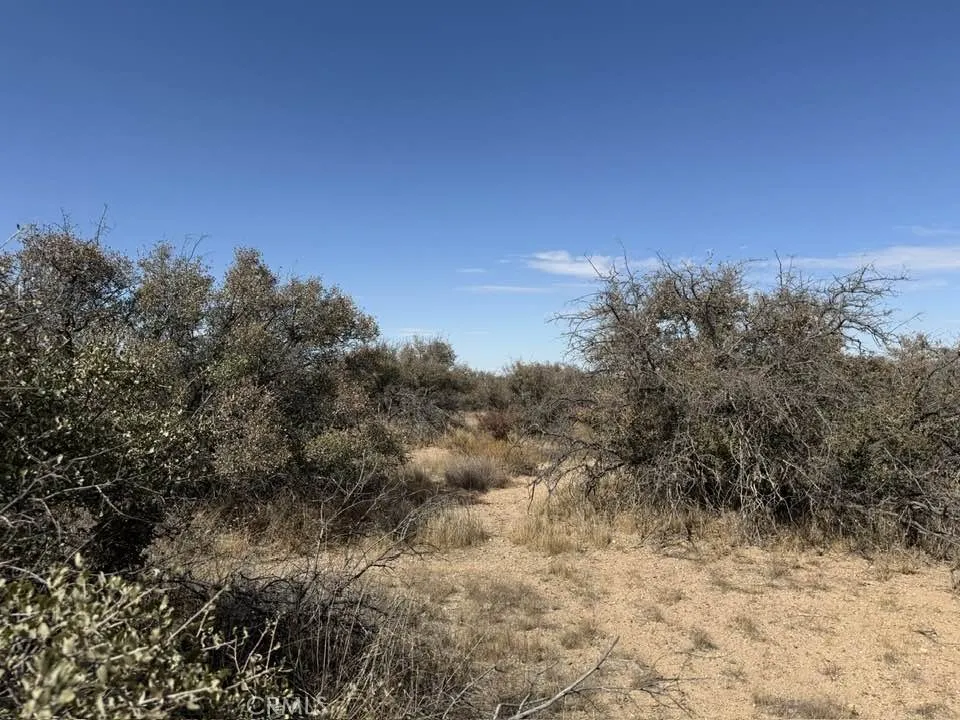 main property photo 4