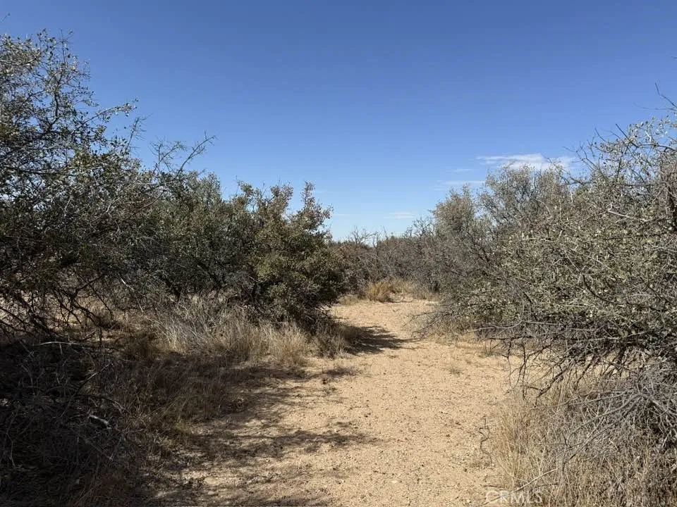 main property photo 6