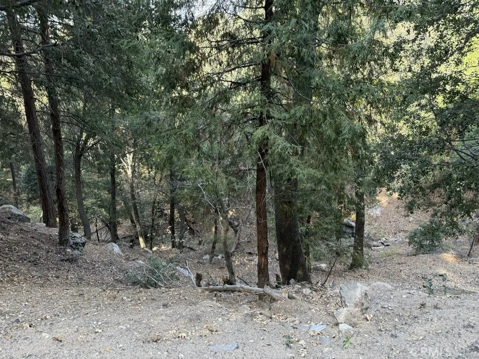 main property photo 9