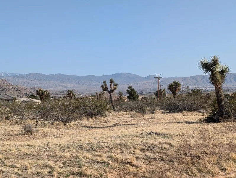 main property photo 3