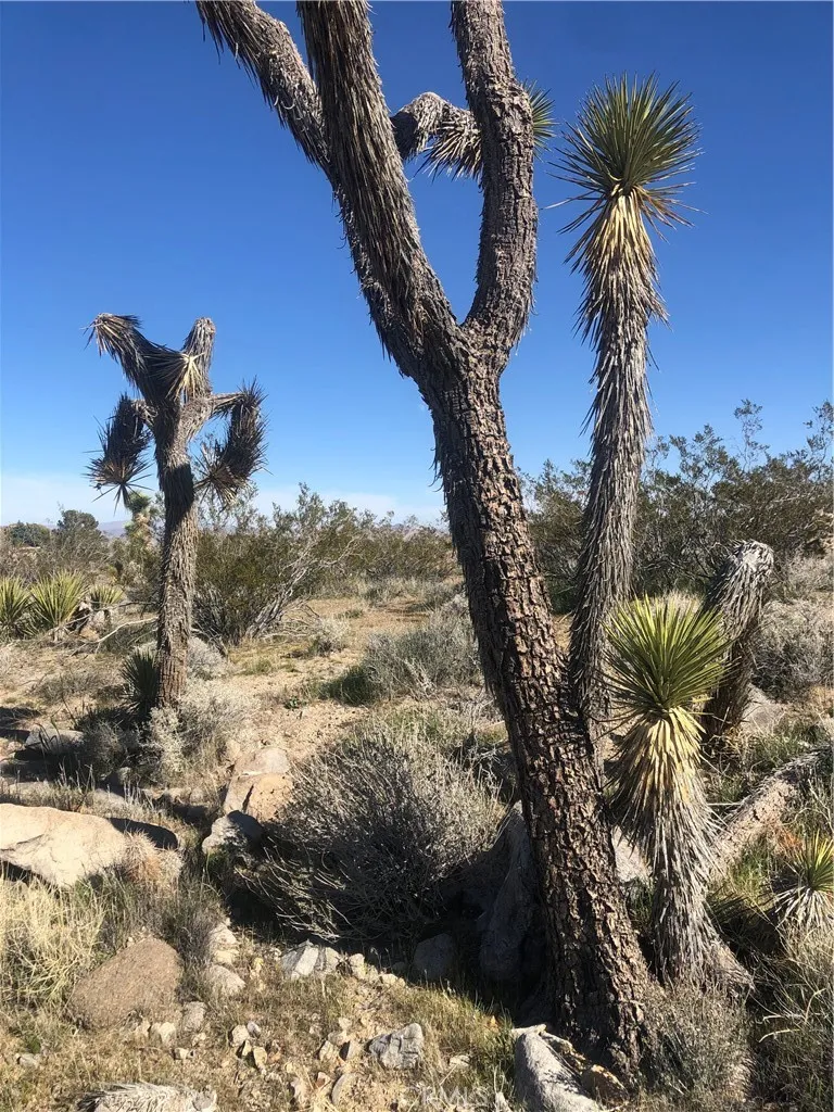 main property photo 27