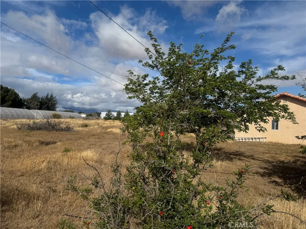 main property photo 36