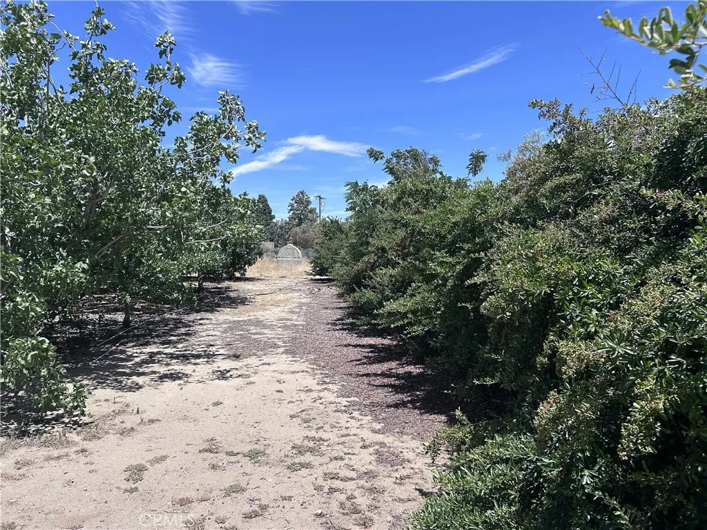 main property photo 21