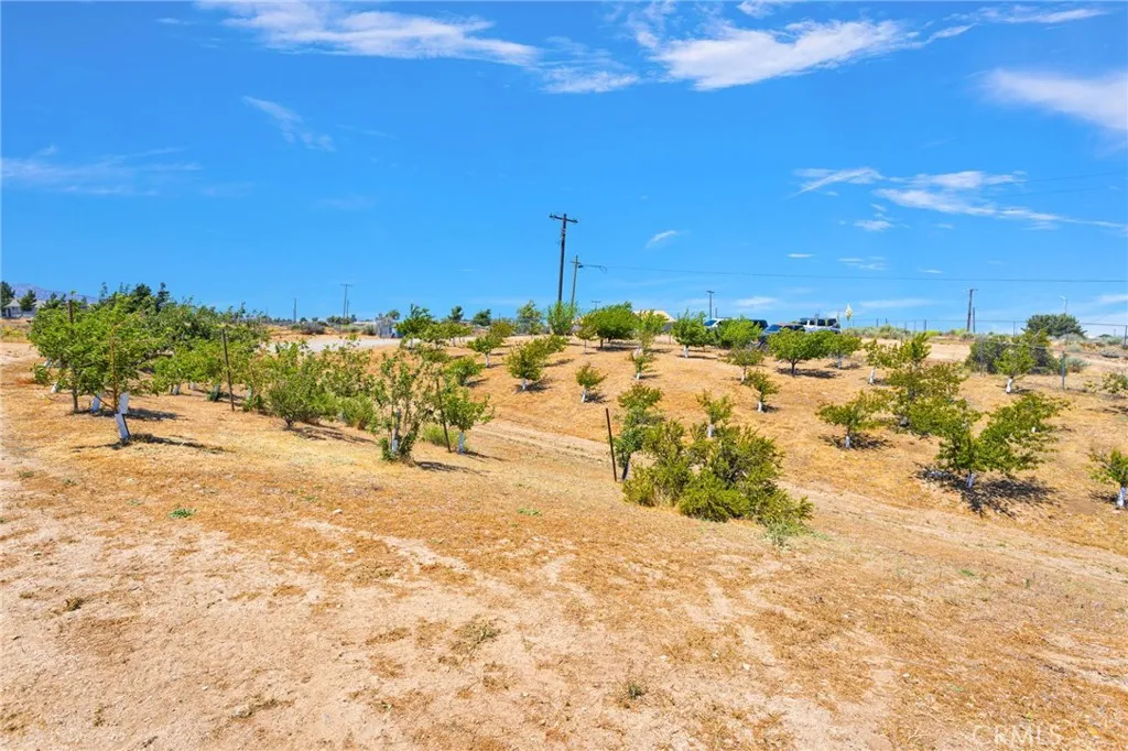 main property photo 51