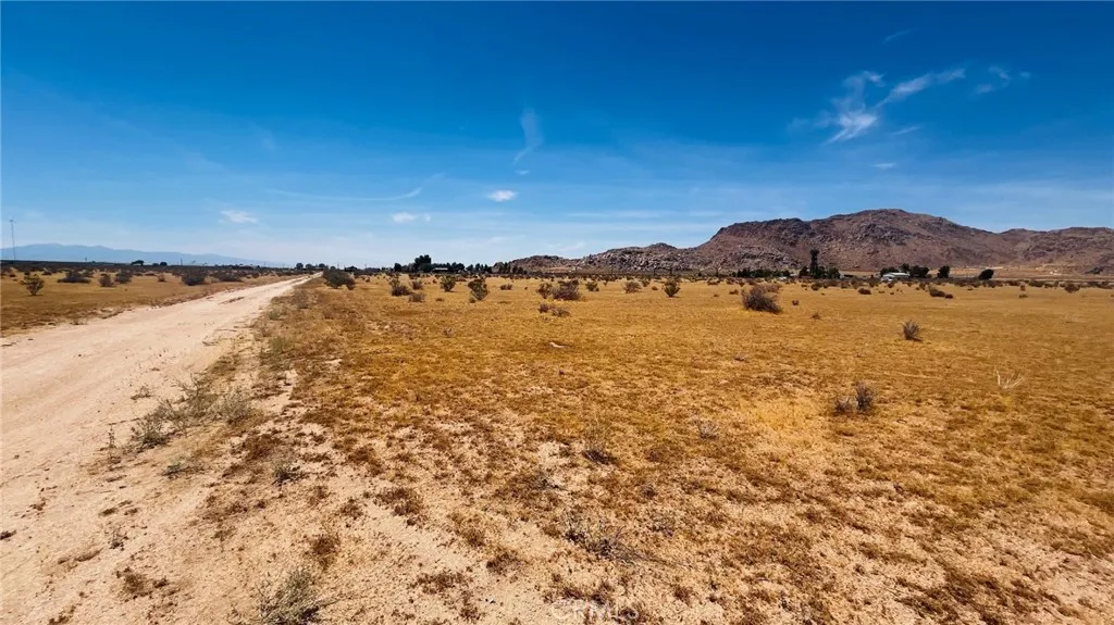 main property photo 3