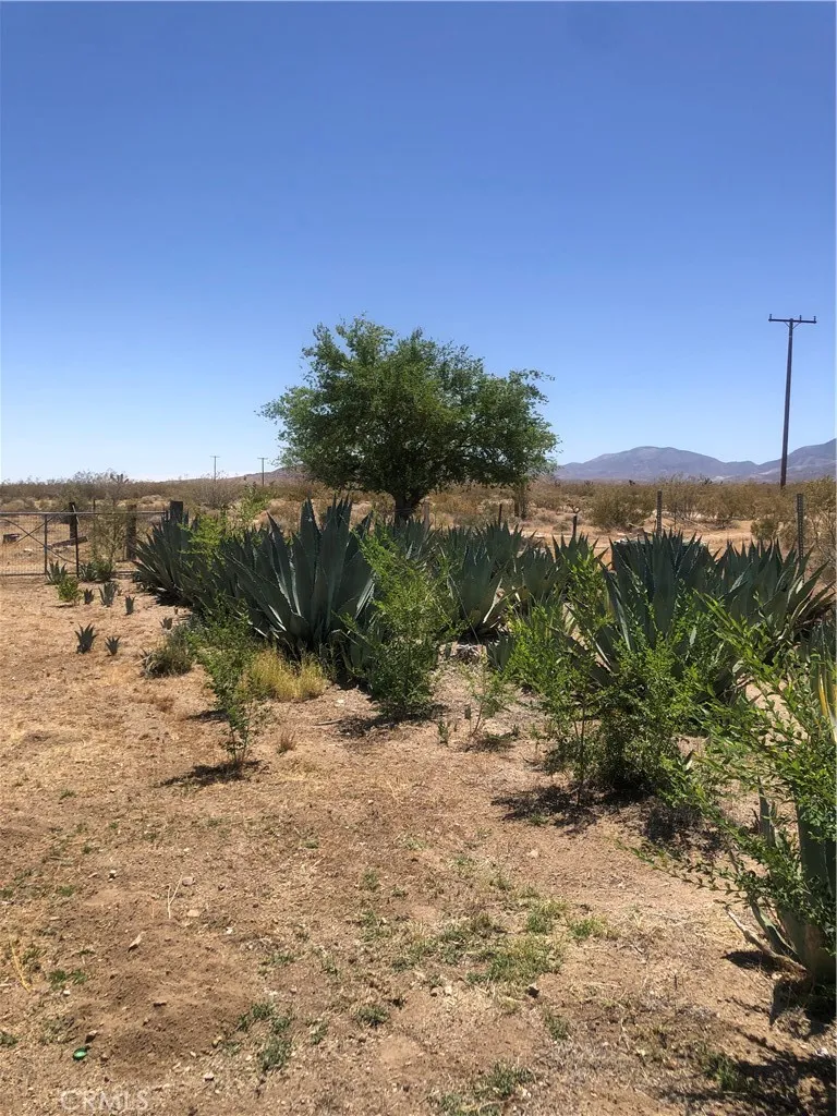 main property photo 10