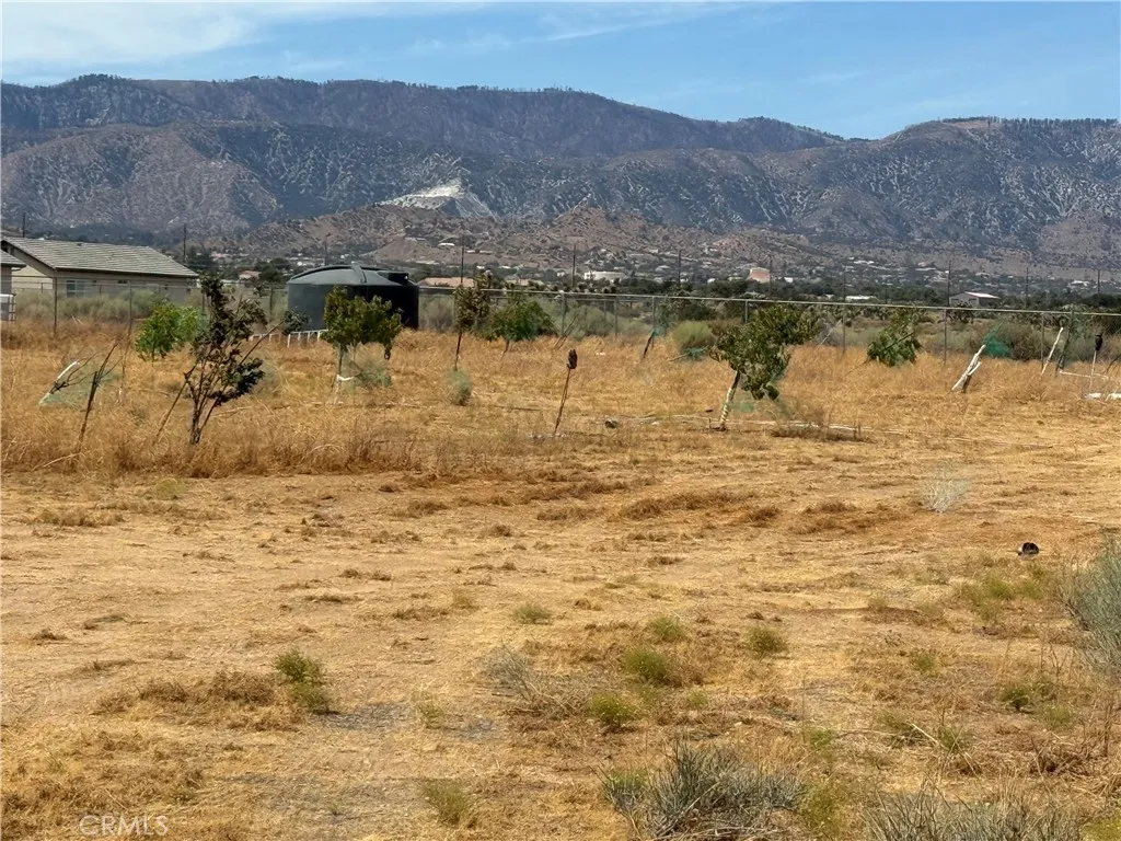 main property photo 20