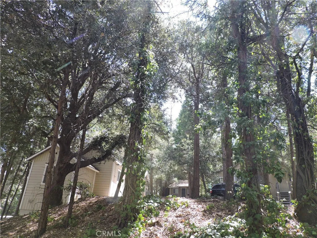 main property photo 46