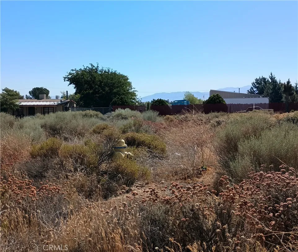 main property photo 5