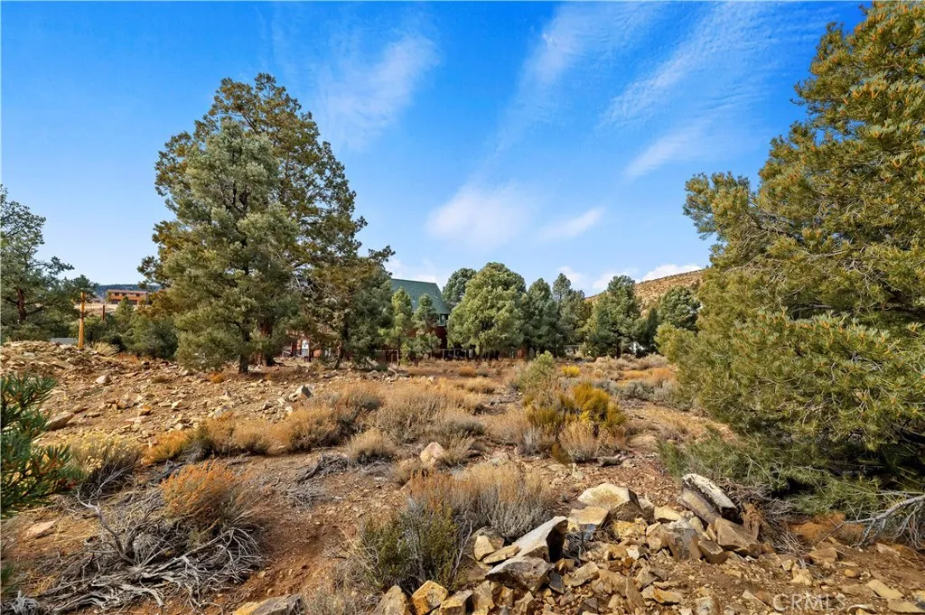 main property photo 4