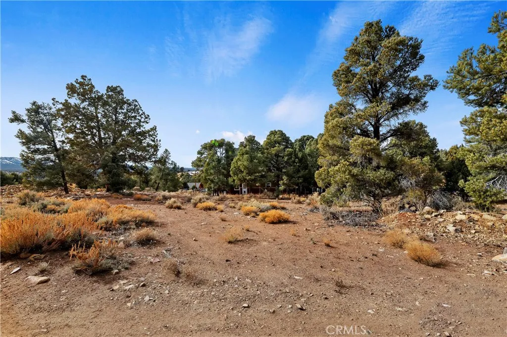 main property photo 8