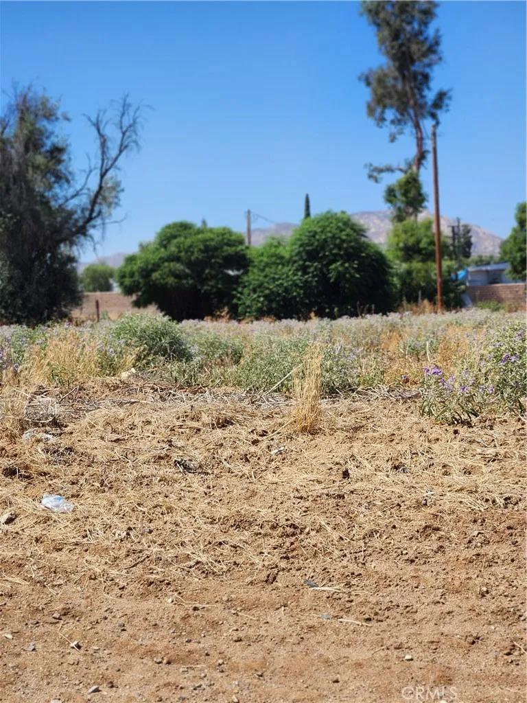 main property photo 13