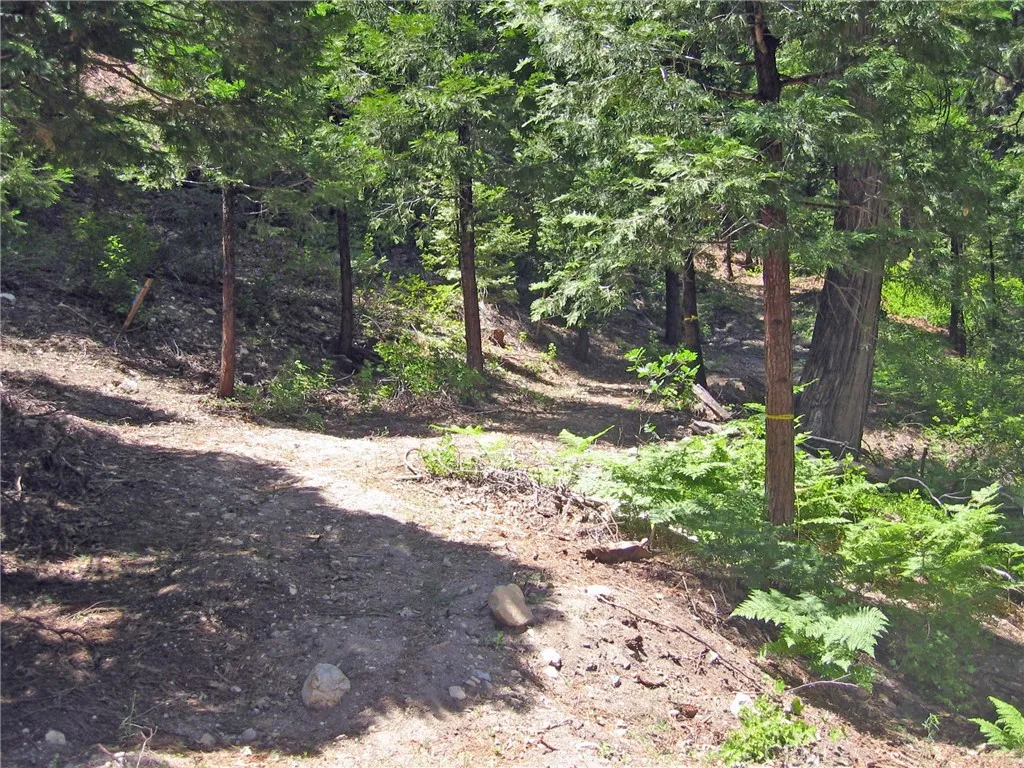 main property photo 13