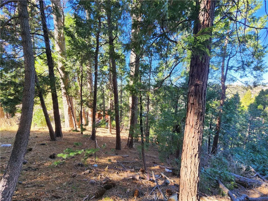 main property photo 9