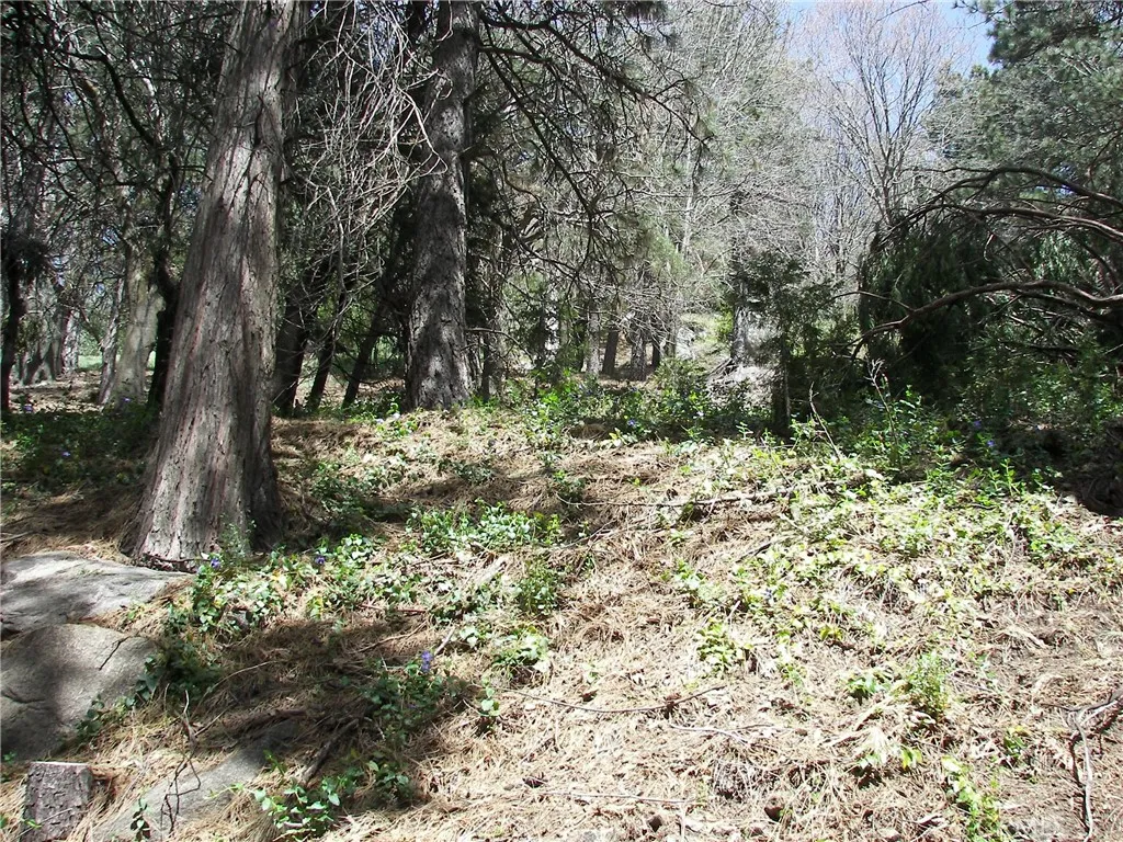 main property photo 49