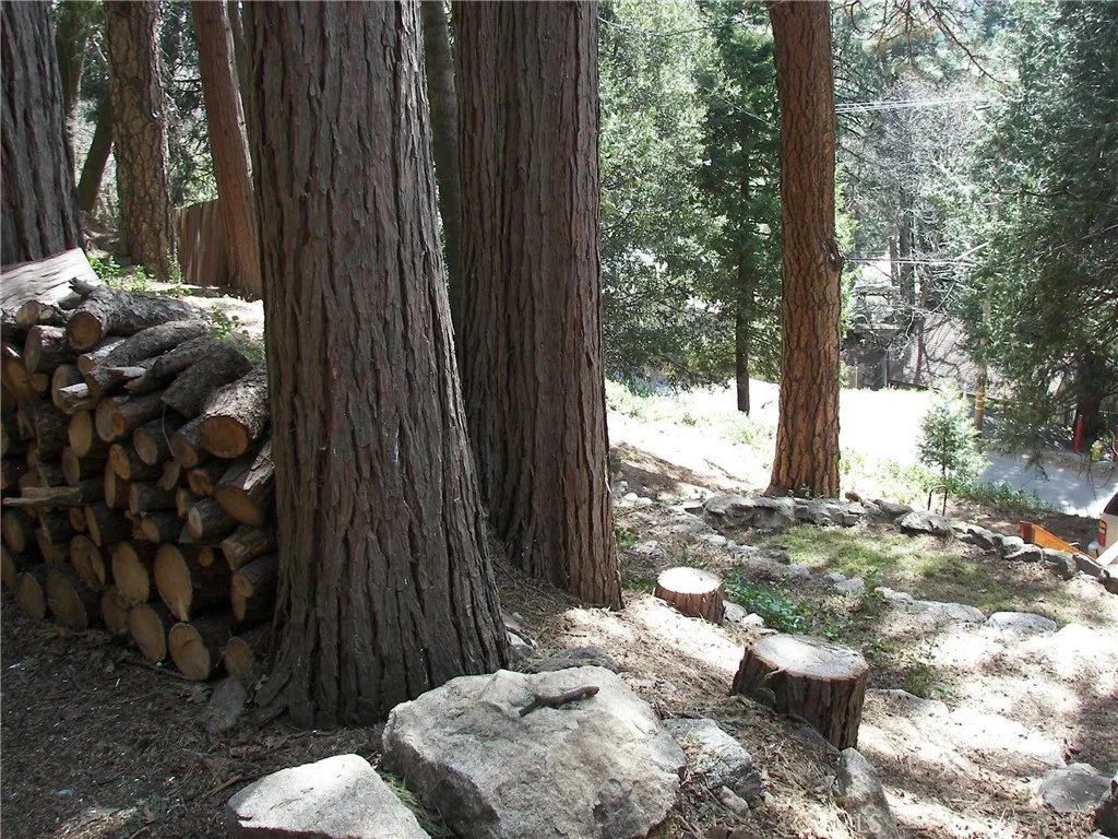 main property photo 58