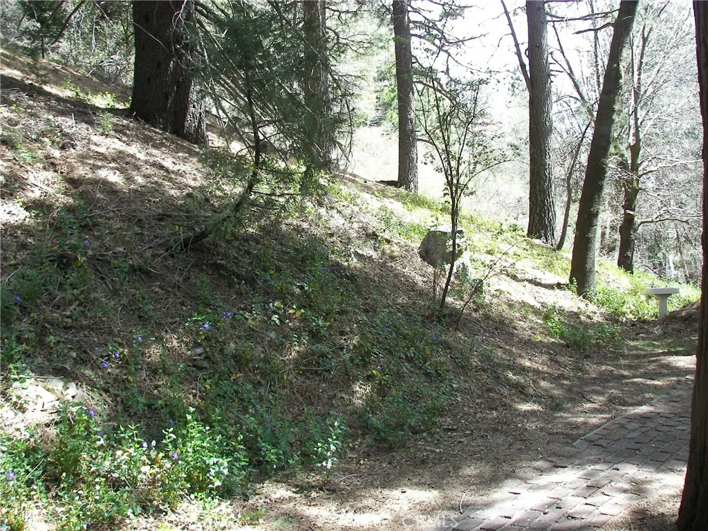 main property photo 59