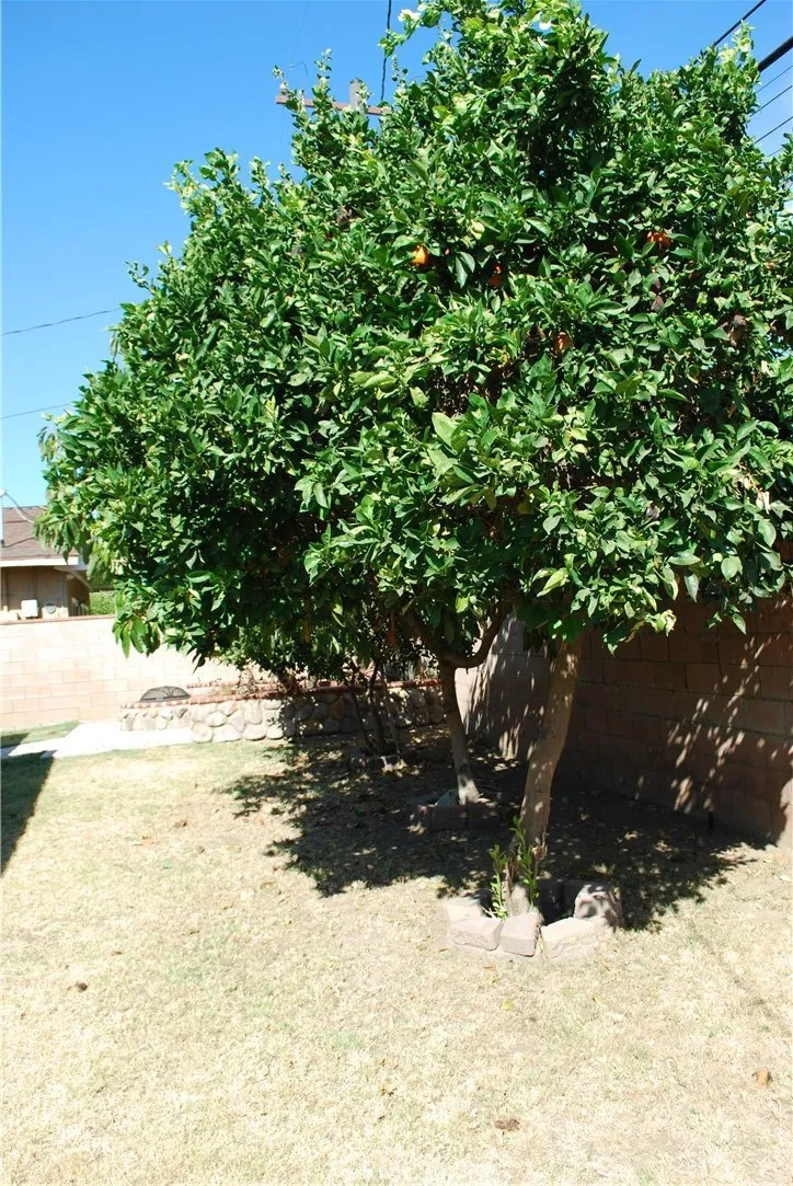 main property photo 61