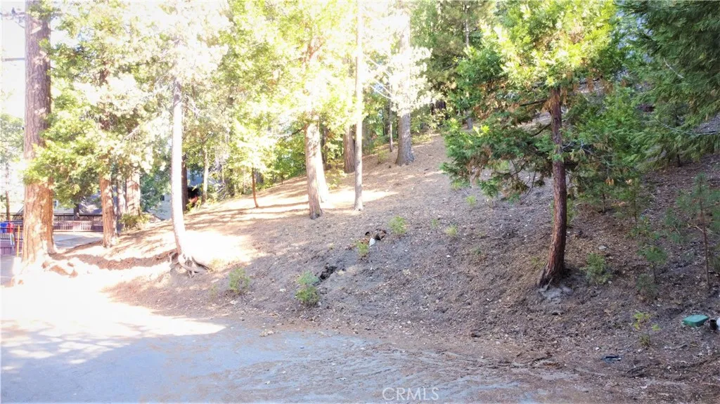 main property photo 9