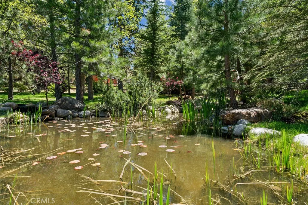 main property photo 57