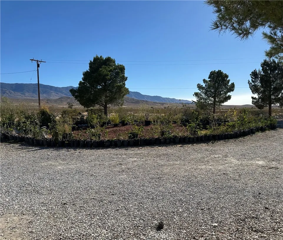 main property photo 43