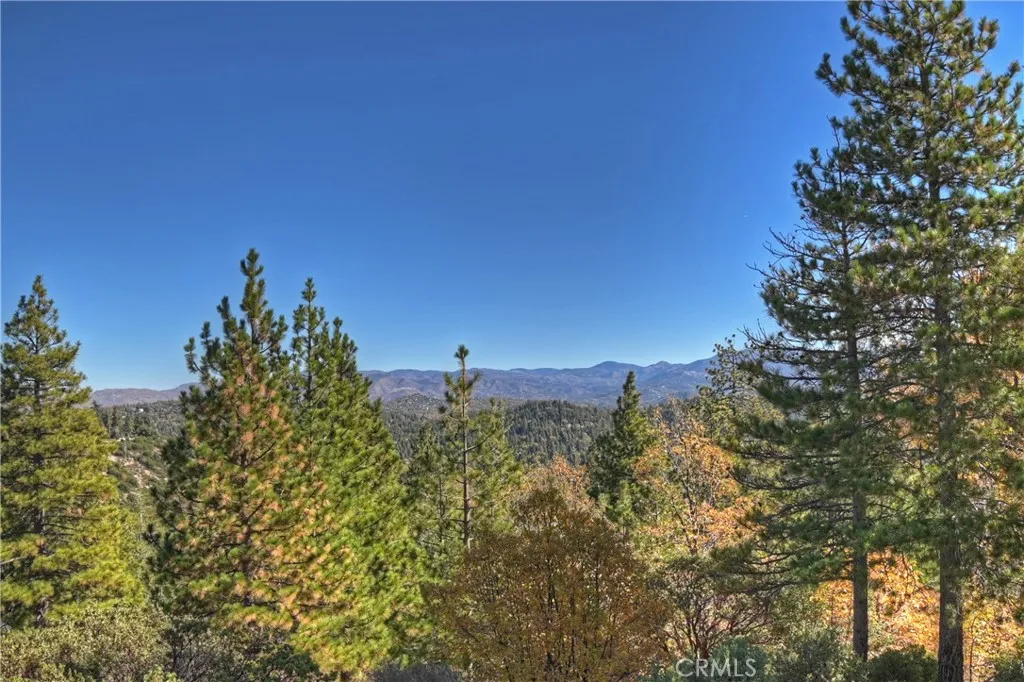 main property photo 59