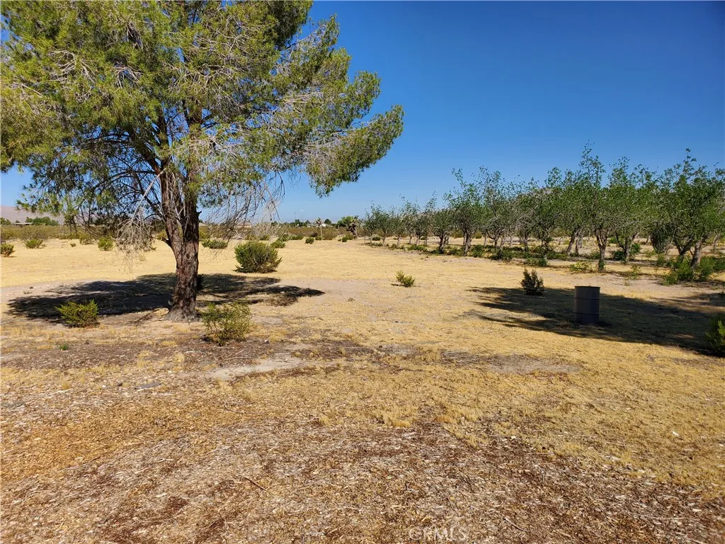 main property photo 12