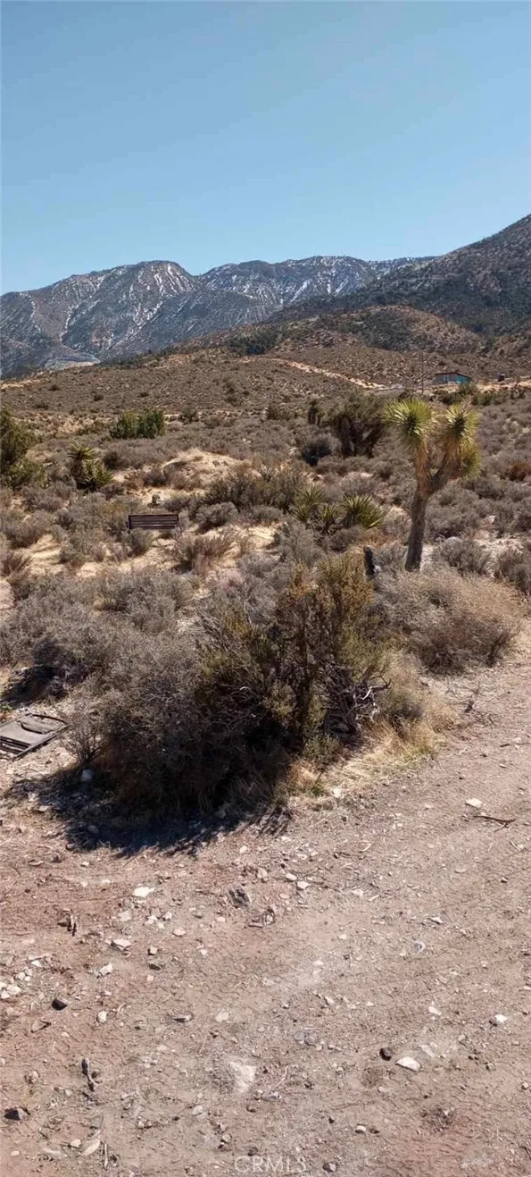main property photo 1
