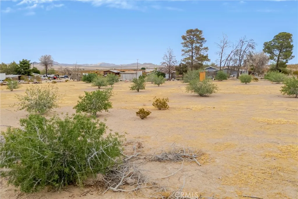 main property photo 41